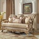 Champagne Chenille Sofa Set 2Pcs Carved Wood Traditional Homey Design HD-2663