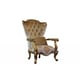 Luxury Golden Brown & Silver Wood Trim ALEXSANDRA Chair Set 2 Pcs EUROPEAN FURNITURE