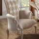 Luxury Beige Pearl Chenille Silver Gold Chair Benetti's Perlita Traditional