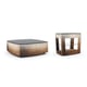Ombre Leaf Finish Smokey Shadow Paint Coffee Table Set 2Pcs CASE CLOSED / OPEN ENDED by Caracole 