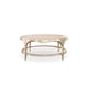 Natural Glow & Champagne Pearl Finish Coffee Table DOWN AND UNDER by Caracole 