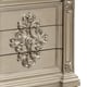 Metallic beige finished Queen Bedroom Set 5Pcs Transitional Cosmos Furniture Alicia