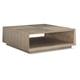 Ash Driftwood & Sundance Gold Finish Coffee Table BOXCAR by Caracole 