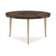  Galway Burl & Golden Shimmer Finish Coffee Table ONE OF THE BUNCH by Caracole 