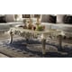 Belle Silver Carved Wood Coffee Table Traditional Homey Design HD-13006  